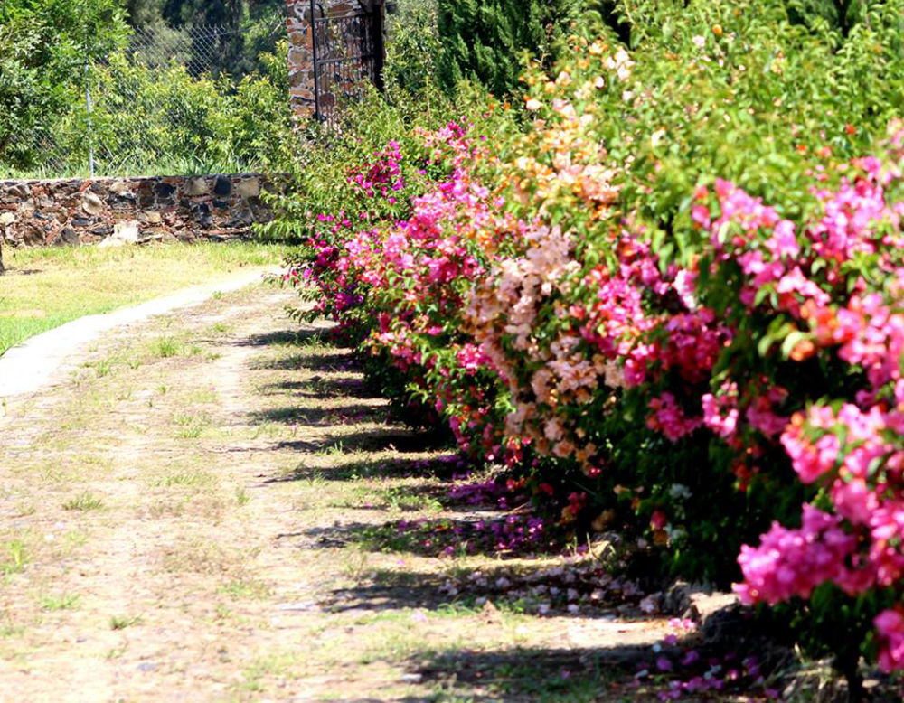 Hacienda San Nicolas De Las Fuentes Teuchitlán Exterior foto